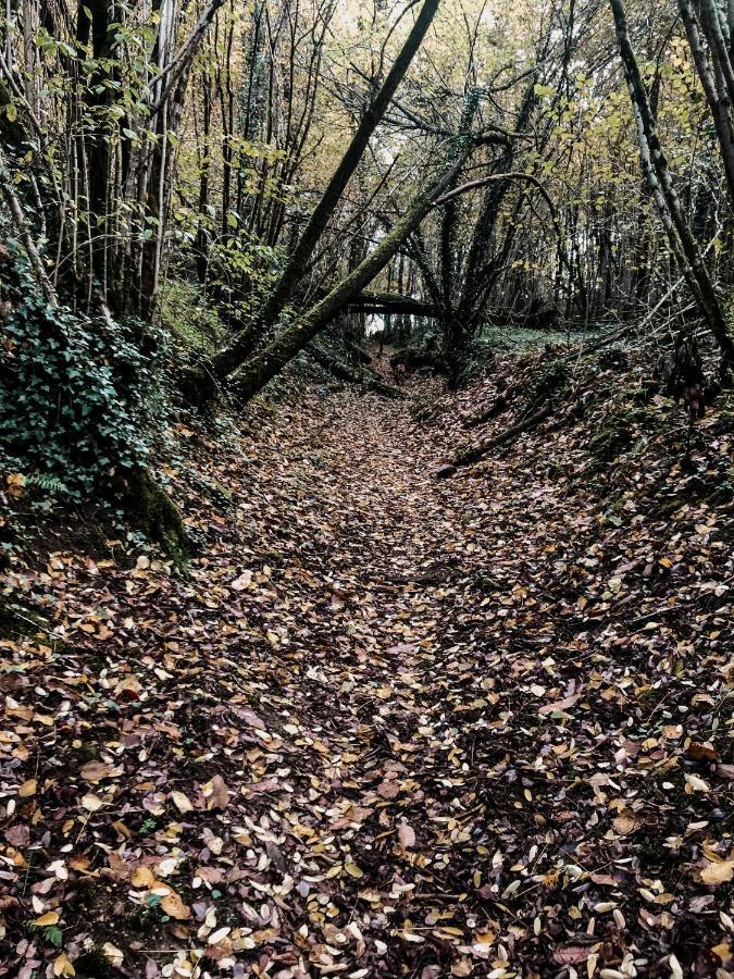 La Ferme Du Pont De Maumy, Cabane Au Bord De L'Etang Et Bain Nordique Busserolles Esterno foto