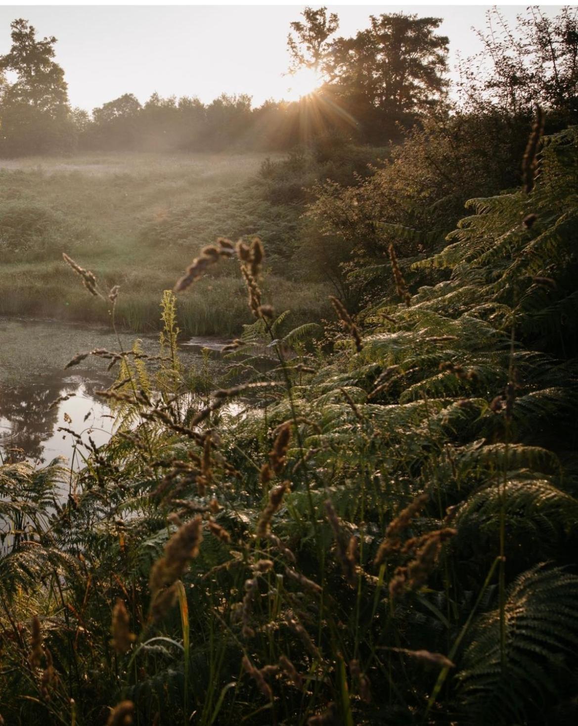La Ferme Du Pont De Maumy, Cabane Au Bord De L'Etang Et Bain Nordique Busserolles Esterno foto